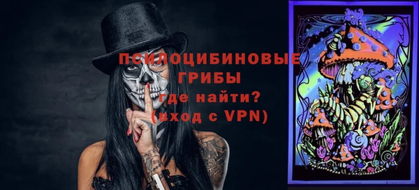 спайс Алексин
