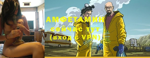 ECSTASY Алзамай