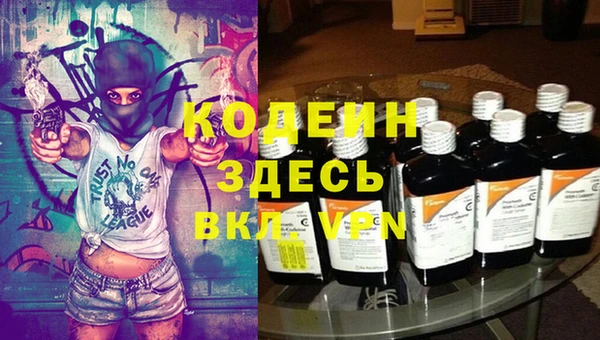ECSTASY Алзамай