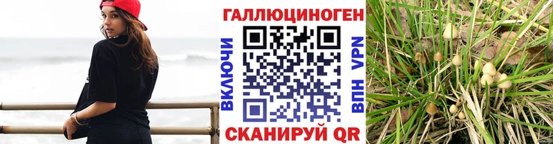 Галлюциногенные грибы мицелий  купить  цена  Изобильный 